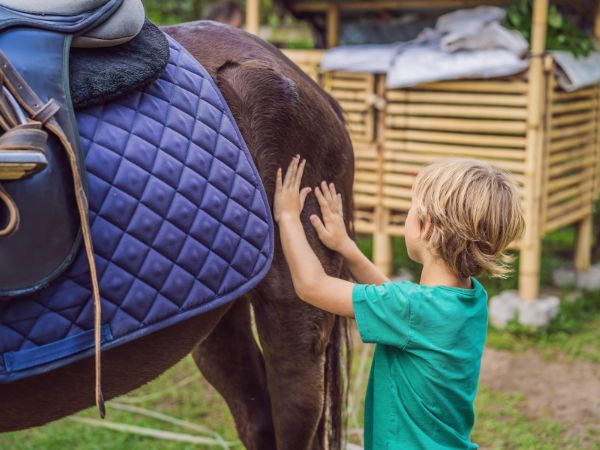 Dlaczego Twoje dzieci powinny spróbować jazdy konnej i jak je do tego zachęcić?