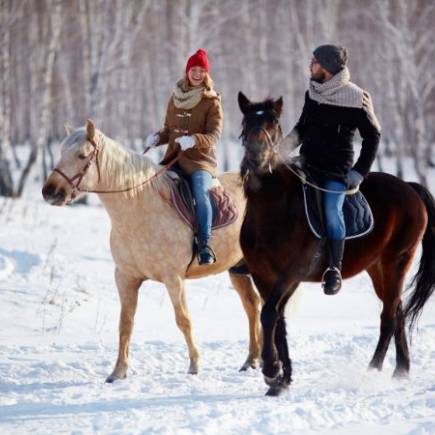 Rasy koni idealne do treningu - jak wybrać odpowiednią dla siebie
