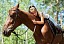 Uwolnij prawdziwy potencjał swojego konia: Łatwe strategie, aby trenować z koniem